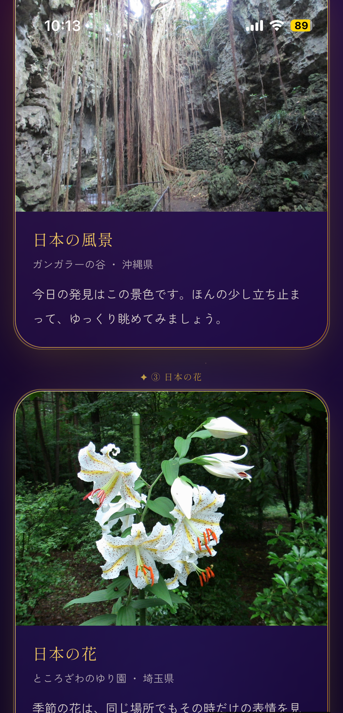 日本の風景と花の実際のアプリ画面